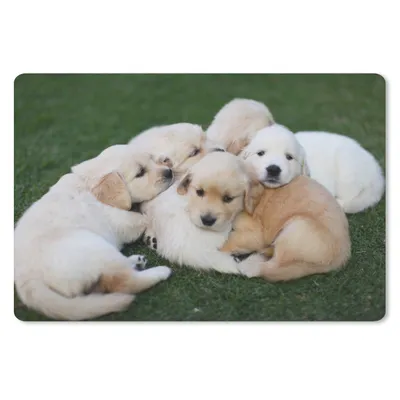 Produktbild von MuchoWow® Mauspad Mousepad Tiere - Welpen - Hunde 27x18 cm - Mousepads - Maus Mat - Pad - Mausunterlage - Büroartikel - Desk Matten