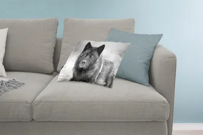 Produktbild von MuchoWow® Zierkissen Sofakissen Wohnzimmer Dekokissen 60x40 cm Wolf - Nahaufnahme - Schwarz - Weiß - Kopfkissen - Polster mit Foto