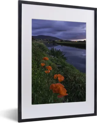 Produktbild von MuchoWow® MuchoWow® Gerahmtes Poster Rote Mohnblumen am Wasser 30x40 cm - Poster mit zchwarzem Bilderrahmen - Wandposter Schlafzimmer