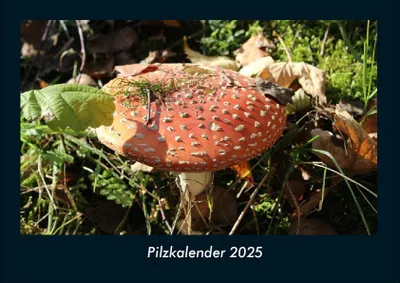 Produktbild von Pilzkalender 2025 Fotokalender DIN A4