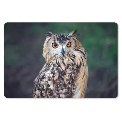 Produktbild von MuchoWow® Schreibtischunterlage Eule 60x40 cm - XXL Mauspad - Großes Mauspad