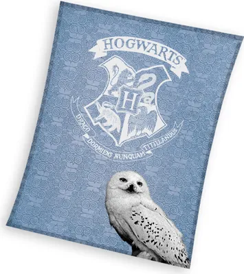 Productafbeelding van Harry Potter Fleece deken Hedwig - 130 x 170 cm -