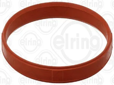 Productafbeelding van Afsluiting voor de inlaatmanifold van een BMW 3 E46 330XI, modeljaren 2004-2006