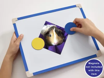 Imagen del producto de Pizarra blanca magnética A4, ideal para niños, con superficie de borrado en seco, incluye rotuladores y imanes
