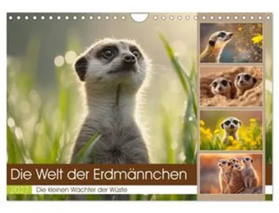 Produktbild von Die Welt der Erdmännchen (Wandkalender 2027 DIN A4 quer), CALVENDO Monatskalender