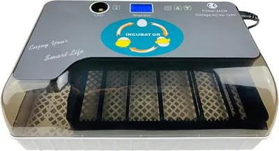 Image de Incubateur d'œufs entièrement automatique Digital Poultry Hatcher Egg Turning Temp Control avec lampe bougie LED, 12 œufs