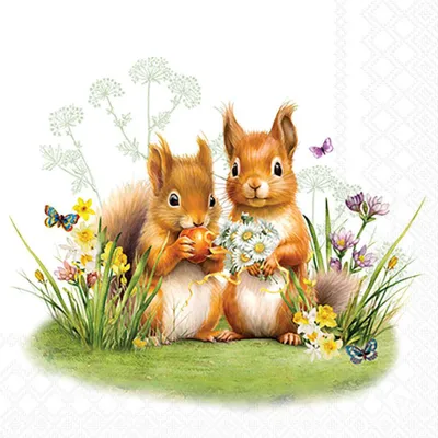 Produktbild von Servietten Cocktail 25x25cm 3-Lagig 20 Servietten Eichhörnchen Napkin 25 Little squirrels