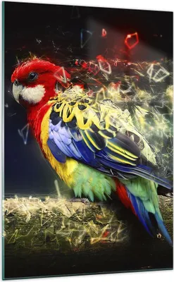 Produktbild von Bilder auf glas - Einteilig - Papagei Vogel Feder - 70x100cm - Glasbilder - Wandbilder - Bilder - zum Aufhängen bereit - Wanddekoration aus Glas - Glas Bilder - Wandbild auf Glas - GPA70x100-3682