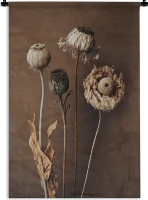 Produktbild von MuchoWow® Wandteppich Wandbehang Blumen - Pflanzen - Trockenblumen - Braun 120x180 cm Tapisserie Dekoration Wandtuch - Schlafzimmer - Dekorationen für das Haus