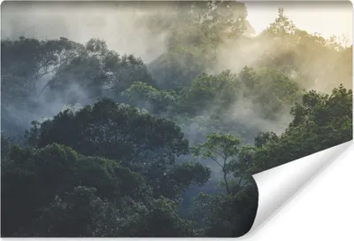 Produktbild von Muralo Vlies Fototapete TROPENWALD im Nebel Bäume Landschaft 3D Br. 104cm x Hö. 70.5cm