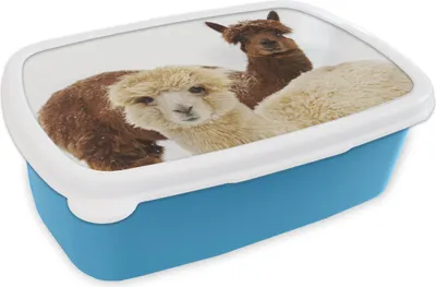 Produktbild von KitchenYeah® Lunchbox Brotzeit Brotdose 17x11 cm Lama - Tier - Mantel Kinder Brotzeitdose - Lunch - Kunststoff  - Brotbüchse - Sandwichbox - Lunchbox für Kinder