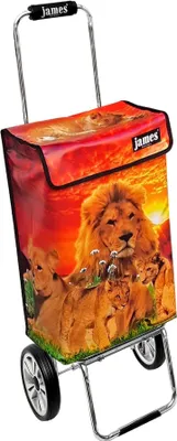 Obrázok produktu pre Nákupný vozík James - LION - robustný nákupný vozík s individuálnym dizajnom - farba: oranžová v prevedení: Chrome19