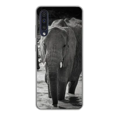Produktbild von MuchoWow® Handyhülle Schutzhülle Hülle für Samsung Galaxy A50 Elefant - Tiere - Wasser - Schwarz und weiß Silikon Softcase Handy Hülle - Mobiltelefonhülle