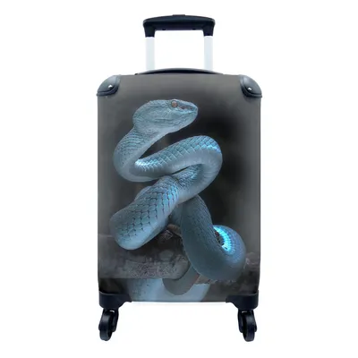 Obrázek produktu pro Kufr Příruční zavazadlo na kolečkách Malý cestovní kufr na 4 kolečkách Modrý had - Velikost kabiny < 55x40x23 cm a 55x40x20 cm - Fotobrašna - Kabinový