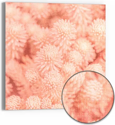 Produktbild von DEQORI Hybrid Leinwand Bild 50x50 cm 'Rosige Texturen' Wandbild Glas flach modern