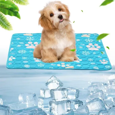 Produktbild von Hundekühlmatte 100 x 70 cm, selbsterkühlend, für Innenbereich