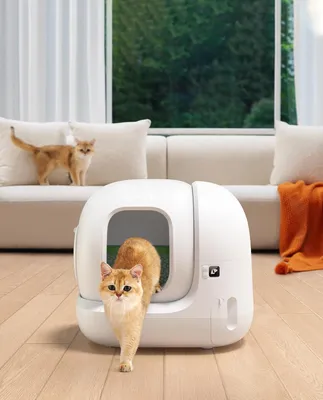 Produktbild von Katzentoilette – Selbstreinigende, automatische Katzentoilette mit App-Steuerung, Geruchsneutralisation und großem Eingang