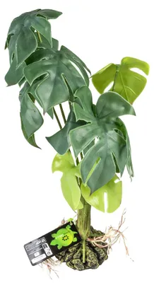 Productafbeelding van Terra Della Monstera groen terrarium kunstplant voor reptielen en amfibieën M - 20x20x35cm