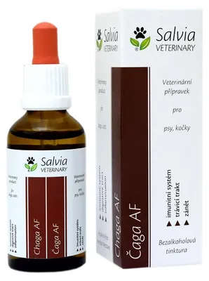 Obrázek produktu pro Čaga AF 50 ml