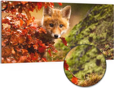 Produktbild von DEQORI Hybrid Leinwand Bild 100x50 cm 'Herbstlicher Lauschposten' Wandbild Glas flach modern