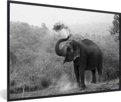 Produktbild von MuchoWow® Gerahmtes Poster Reinigungselefant - schwarz und weiß 90x60 cm - Poster mit Schwarzem Bilderrahmen Wandposter Rahmen Foto Bilder - Fotorahmen - Foto-Plakat