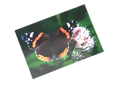 Produktbild von 3 D Ansichtskarte Schmetterling, Admiral, Postkarte Wackelkarte Hologrammkarte Tiere Tier Falter
