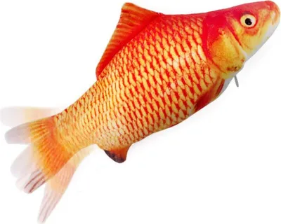 Produktbild von INF Interaktives Katzenspielzeug Zappelnder Fisch Orange