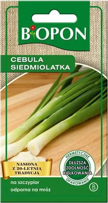 Zdjęcie produktu dla Biopon Cebula Siedmiolatka 0,5 G - Nasiona Ogrodnicze
