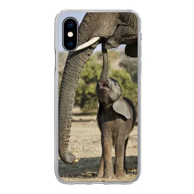 Produktbild von MuchoWow® Handyhülle Schutzhülle Hülle für iPhone X Elefant - Tiere - Gras - Natur Silikon Softcase Handy Hülle - Handyhülle