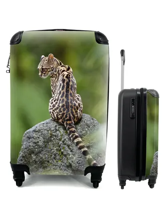 Produktbild von MuchoWow® Koffer Handgepäck Trolley Rollkoffer Kleine Reisekoffer mit 4 Rollen - Baumkatze auf Stein - Cabin Size < 55x40x23 cm & 55x40x20 cm - Fotokoffer - Kabinenkoffer - Boardgepäck - Reise-Box - Reisekoffer - Reisegepäck - Koffer mit Bild - Trolley für Kinder
