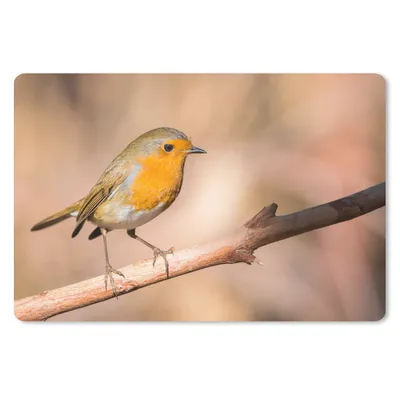 Produktbild von MuchoWow® Mauspad Mousepad Vogel - Zweig - Rotkehlchen 27x18 cm - Mousepads - Maus Mat - Pad - Mausunterlage - Büroartikel - Desk Matten