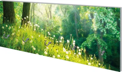 Produktbild von Wallario Flurgarderobe Wandgarderobe aus Glas, mit 5 Haken, Größe 80 x 30 cm, Motiv Pusteblumen im Wald mit einfallenden Sonnenstrahlen