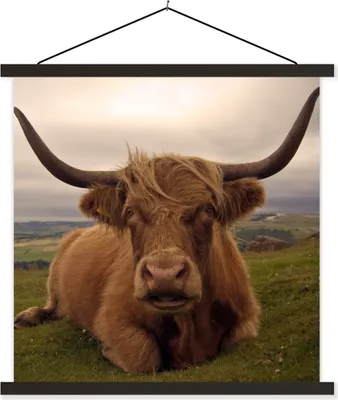 Produktbild von MuchoWow® Textilposter Schottisches Hochlandrind - Tiere - Berg 90x90 cm mit schwarzem Rahmen - Magnetisches