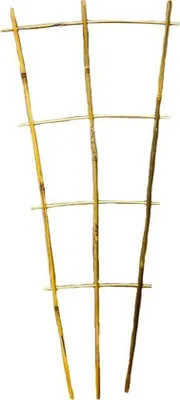 Obrázek produktu pro Bambusová prolézačka Ferrarium vysoká 60 cm