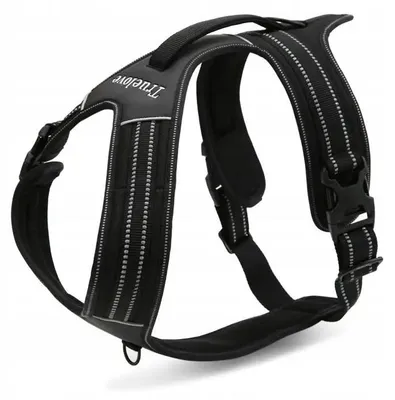 Produktbild von Truelove Security Hundetrainingsgeschirr L Schwarz