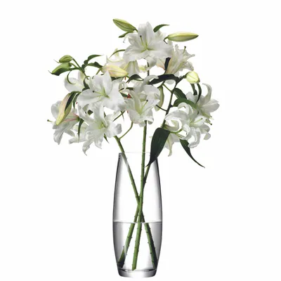 Obrázok produktu pre LSA | Vase FLOWER, priehľadné, výška 41 cm