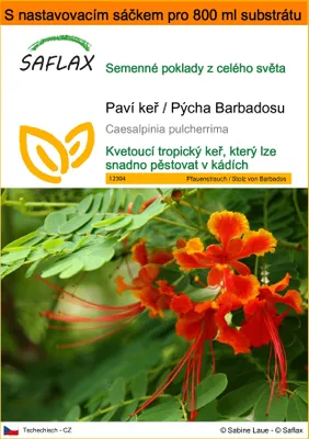 Obrázek produktu pro SAFLAX Garden in the bag - Paví keř / Pýcha Barbadosu - Caesalpinia pulcherrima - 10 Semena - S pěstebním substrátem v praktickém samovztyčovacím sáčku