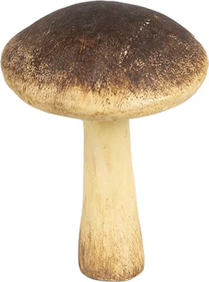 Produktbild von Clayre & Eef Dekoration Pilz Ø 9x12 cm Braun Beige Polyresin