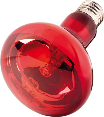 Productafbeelding van Hobby Infraredlight Eco infrarood warmtelamp voor terrariumdieren 70 Watt