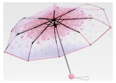 Produktbild von Faltbarer Regenschirm, Kirschblüte in 4 transparenten Farben