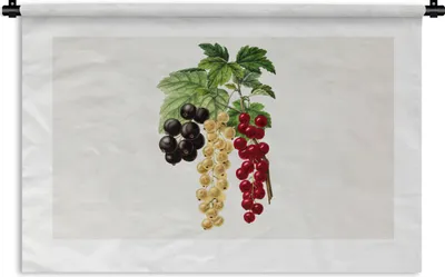 Produktbild von MuchoWow® Wandteppich Wandbehang Lebensmittel - Beeren - Obst 60x40 cm Tapisserie Dekoration Wandtuch - Wanddekorationen