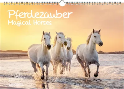Produktbild von Pferdezauber DIN A3 Immerwährender Kalender Pferde und Fohlen - Seelenzauber
