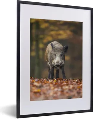 Produktbild von MuchoWow® MuchoWow® Gerahmtes Poster Wildtier - Wald - Herbst 30x40 cm - Poster mit zchwarzem Bilderrahmen - Wandposter Schlafzimmer