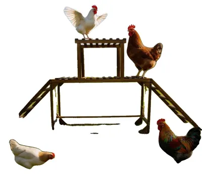Productafbeelding van Kippenstal speelgoed, meerlaags ontwerp, met ingebouwde schommelstok, grijs