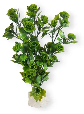 Immagine prodotto di Decorazione acquario piante artificiali XL9, pianta artificiale per acquario con pietra naturale, 30 x 20 cm