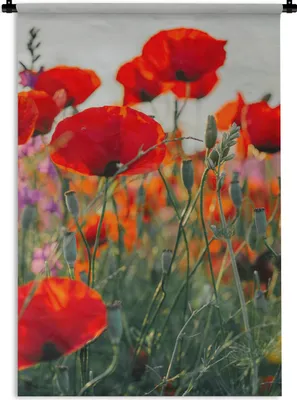 Produktbild von MuchoWow® Wandteppich Wandbehang Mohn - Blumen - Rot - Lila - Wiese 90x135 cm Tapisserie Dekoration Wandtuch - Baumwolle - Wandskulptur