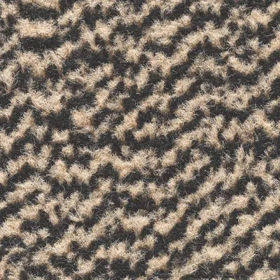 Produktbild von Fussmatte Mars beige, 60 x 80 cm