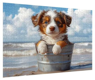 Image de Puzzle de 5000 pièces pour adultes