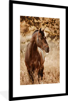 Produktbild von MuchoWow® MuchoWow® Gerahmtes Poster Pferd - Sonne - Porträt - Natur - Braun 60x90 cm - Poster mit zchwarzem Bilderrahmen - Dekoration - Wandposter Wohnzimmer - Hochwertig