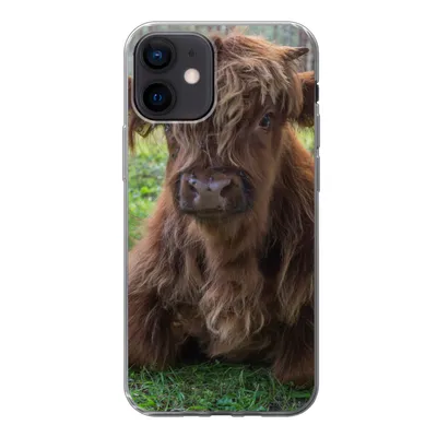 Produktbild von MuchoWow® Handyhülle Schutzhülle Hülle für iPhone 12 Schottischer Highlander - Kröte - Tiere Silikon Softcase Handy Hülle - Schutzhülle